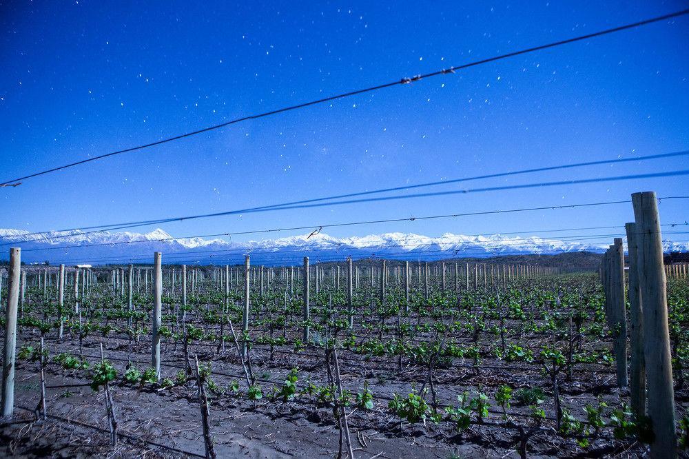 Auberge Du Vin, A Tribute Portfolio Hotel Tupungato Zewnętrze zdjęcie